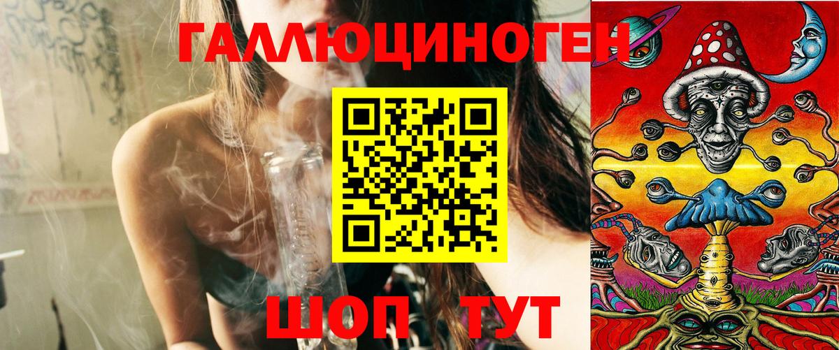 Псилоцибиновые грибы Psilocybine cubensis Лесной