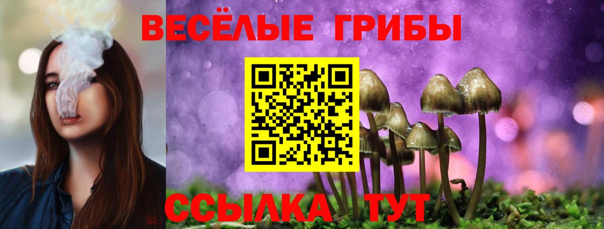 Галлюциногенные грибы Cubensis  Вход с VPN  Лесной  Галлюциногенные грибы GOLDEN TEACHER 